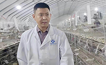 楊毅——特養網智庫專家