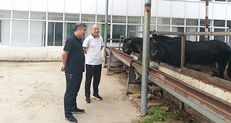 省協會參訪無極縣大峰家庭農場